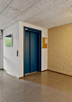 245298626